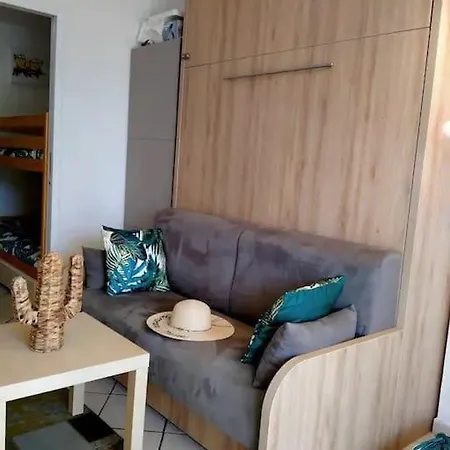Chez Virginie Et Laurent Apartment *